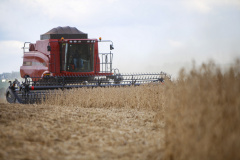 O Paraná poderá produzir 40,6 milhões de toneladas de grãos, em uma área de 10,4 milhões de hectares, na safra 2020/2021. As informações são do relatório mensal divulgado nesta quinta-feira (29) pelo Departamento de Economia Rural (Deral), da Secretaria de Estado da Agricultura e do Abastecimento.  -  Curitiba, 30/04/2021  -  
 - Foto: Gilson Abreu/AEN