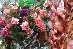 Flores- Rosas  -  Foto: Divulgação CEASA