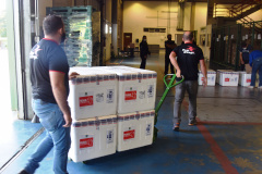 O Paraná recebeu na manhã deste sábado (1º) 14.600 doses da Coronavac, fabricada pelo Instituto Butantan/Sinovac. O volume é parte das 406.100 doses de vacinas contra a Covid-19, referentes ao 16° lote enviado pelo Ministério da Saúde ao Estado.  -  Curitiba, 01/05/2021  -  Foto: Américo Antonio/SESA