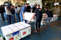 Com a nova remessa de vacinas recebidas na manhã desta segunda-feira (03), o Paraná dará início a imunização contra a Covid-19 de pessoas com comorbidades, com deficiência permanente, grávidas e puérperas