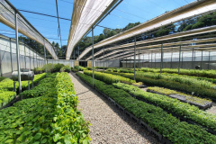 O Instituto Água e Terra (IAT), vinculado à Secretaria do Desenvolvimento Sustentável e do Turismo (Sedest), firmou parceria com o Distrito 4710 do Rotary International para o plantio de 250 mil árvores nativas.  -  Foto: IAT