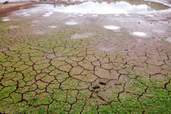 Governo decreta situação de emergência hídrica na RMC e no Sudoeste
. Foto: Geraldo Bubniak/AEN