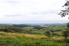 O preço das terras aptas para atividades agropecuárias teve elevação superior a 50% no período de um ano no Paraná. Foto: Geraldo Bubniak/AEN