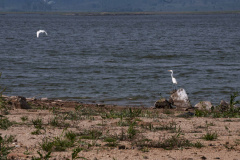 Chuvas de quarta-feira foram oito vezes mais volumosas do que todo o mês de abril
; Foto: Sanepar