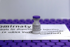 Vacina Pfizer/Comirnaty/BioNtech  ).  Foto: Américo Antonio/SESA