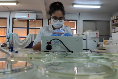 Mestranda do programa de Pós-graduação em Zootecnia da Universidade Estadual do Oeste do Paraná, campus de Marechal Cândido Rondon, a zootecnista Ida Barbosa de Andrade conquista segundo lugar no concurso de dissertações "Tech Women Paper Contest", que faz parte do evento  "Tech Women Summit", para que pesquisadoras da área de STEM - "science, technology, engineering, and mathematics"   - Cascavel, 13/05/2021  -  Foto: UNIOESTE