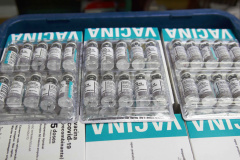 Paraná deve receber mais 413,8 mil vacinas contra a Covid-19
. Foto:Américo Antonio/SESA