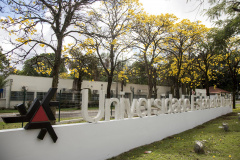 Levantamento feito pela Assessoria de Comunicação Social (ASC) com dados da SciVal/Elsevier, ferramenta sobre pesquisas de 14 mil instituições do mundo, mostra que 16 pesquisadores da Universidade Estadual de Maringá (UEM) estão entre os brasileiros mais produtivos cientificamente. E a UEM é considerada a segunda instituição de pesquisa do Paraná com mais artigos publicados, atrás da Universidade Federal do Paraná (UFPR).  -  Maringá, 17/05/2021  -  Foto: Divulgaçào UEM