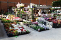 A Ceasa Curitiba está intensificando os cuidados na circulação em seu mercado atacadista tanto de hortigranjeiros, como para a comercialização de flores e plantas ornamentais. - Curitiba, 16/04/2021  -  Foto: CEASA/PR