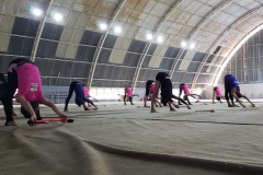 Federação Paranaense de Ginástica faz estágio de treinamento e cursos técnicos com recursos do Proesporte  -  Foto: Paraná Esporte