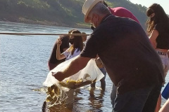 Em quatro meses, rios do Paraná são repovoados com 500 mil peixes nativos. Foto: SEDEST