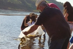 Em quatro meses, rios do Paraná são repovoados com 500 mil peixes nativos. Foto: SEDEST