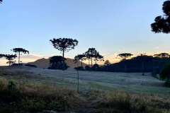 -3,3°C. Esta é a temperatura mais baixa registrada no Paraná em 2021, atingida nesta terça-feira (25) em General Carneiro, na região Sul do Estado. Outros três municípios também registraram temperaturas mínimas negativas: Guarapuava (-0,4°C), Palmas (-1,2°C) e São Mateus do Sul (-1,9°C). As informações são do Sistema de Tecnologia e Monitoramento Ambiental do Paraná (Simepar).  -  Curitiba, 25/05/2021  -  Foto: Ana Tigrinho/AEN