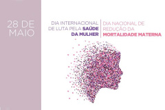 Evento online debate saúde da mulher e mortalidade materna na pandemia. Foto:SESA