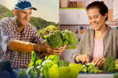 Para garantir alimentos com alto valor nutricional na mesa dos paranaenses, o Governo do Estado desenvolve ações em diversas frentes