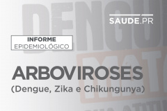 boletim dengue  -  Foto/Arte: SESA