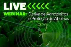 Webinar Adapar sobre Deriva de Agrotóxicos e Proteção de Abelhas em Junho -  Curitiba, 01/06/2021  -  Foto: Crea-PR