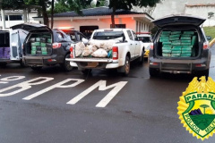 Um trabalho de inteligência do 5º Comando Regional da PM (5º CRPM) na região Oeste do Estado resultou na apreensão de 1,1 tonelada de maconha e no encaminhamento de seis pessoas nesta quinta-feira (10) na cidade de Santa Helena.  -  Curitiba, 11/06/2021  -  Foto: PMPR