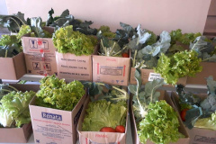 Nesta sexta-feira (11) ocorre mais uma entrega de alimentos às famílias mais vulneráveis da comunidade escolar. Desta vez a distribuição é de produtos da agricultura familiar.  - Curitiba, 11/06/2021 - Foto: Fundepar