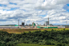 A primeira fase da ampliação das atividades da Klabin. no município de Ortigueira - Projeto Puma II, nos Campos Gerais, recebeu a Licença de Operação (LO) nesta quinta-feira (10). O documento foi entregue pelo Instituto Água e Terra (IAT), órgão vinculado à Secretaria do Desenvolvimento Sustentável e do Turismo (Sedest).  -  Curitiba, 11/06/2021  -  Foto: Rafael Chuí - Klabin