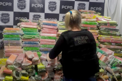 A Polícia Civil do Paraná (PCPR) e a Polícia Rodoviária Federal (PRF) apreenderam 1,6 toneladas de maconha, na quinta-feira (10), em Cascavel, na região Oeste do Estado. A droga foi localizada no bagageiro de um ônibus de viagem. A apreensão causa aproximadamente R$ 3,3 milhões em prejuízo ao crime organizado.  -  Cascavel, 11/06/2021  -  Foto: Polícia Civil do Paraná/SESP