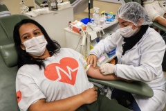 Com estoque 40% abaixo do ideal, Hemepar faz apelo à população para doar sangue. Foto: José Fernando Oura/AEN