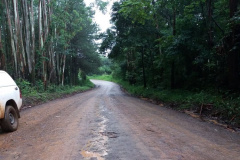 O Departamento de Estradas de Rodagem do Paraná (DER/PR) homologou o resultado da licitação para pavimentar a PR-160, entre Imbaú e Reserva, na região dos Campos Gerais  -  Curitiba, 16/06/2021  -  Foto: DER/PR