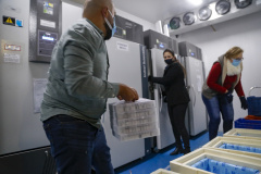 Parte das novas vacinas contra a Covid-19 chega ao Paraná já nesta quinta. Segundo o cronograma do Ministério da Saúde, as 143.910 doses do imunizante Comirnaty, produzido pela Pfizer/BioNtech, estarão no voo LA-4793, que pousa no Aeroporto Internacional Afonso Pena, em São José dos Pinhais, na Região Metropolitana de Curitiba, às 19h05. Vacina Pfizer  -  Curitiba, 17/06/2021 -  Foto: Gilson Abreu/AEN