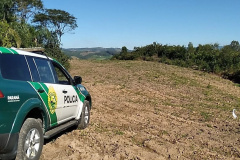 O Batalhão de Polícia Ambiental-Força Verde (BPAmb-FV) e o Instituto Água e Terra (IAT) divulgaram, nesta quarta-feira (22) o balanço final da Operação Esperança, planejada para flagrar crimes ambientais contra a flora