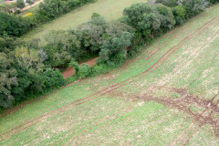 Com apoio de imagens de satélite e da aeronave do Batalhão de Operações Aéreas da Polícia Militar (BPMOA), fiscais do Escritório Regional do Instituto Água e Terra (IAT) em Ponta Grossa, nos Campos Gerais, identificaram atividades irregulares em Área de Preservação Permanente (APP) em uma propriedade rural. -  Foto: IAT