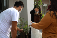 Mais de 800 kg de arroz e feijão foram arrecadados nesta quinta-feira (24), em troca de mudas de jabuticaba no sistema drive-thru no município de Pitanga, na região Central do Estado. A ação foi planejada pelo Escritório Regional do Instituto Água e Terra (IAT) e contou com apoio da prefeitura municipal.  -  Foto: IAT