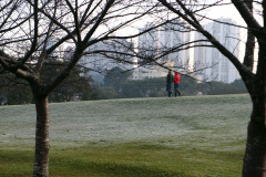 Imagens do inverno - Foto: Geraldo Bubniak