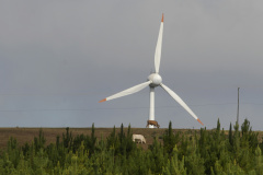 Estudo da OCDE mostra Paraná como exemplo mundial em desenvolvimento sustentável

 Foto Jonas Oliveira/Arquivo AEN