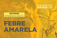 Informe Febre Amarela  -  Foto/Arte: SESA