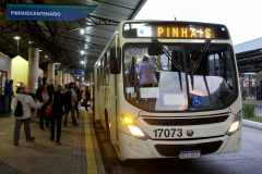 Isenção de tarifa em transporte intermunicipal beneficia 10,3 mil pessoas com deficiência
Foto: Jaelson Lucas/AEN