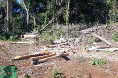 Fiscais do Instituto Água e Terra (IAT) identificaram mais de 100 hectares (ha) de desmatamento na região Centro-Sul do Estado, na última semana. O IAT é um órgão vinculado à Secretaria do Desenvolvimento Sustentável e do Turismo (Sedest). -  Curitiba, 05/07/2021  -  Foto: SEDEST/IAT