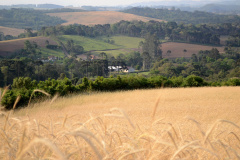 O avanço tecnológico do Paraná permite que o Estado seja um dos primeiros do Brasil a realizar a análise dinamizada do Cadastro Ambiental Rural (CAR). Em todo o país, os estados do Paraná e Amapá possuem mais estruturas para desenvolverem as atividades.  -  Curitiba, 09/07/2021  -  Foto: Sedest/IAT