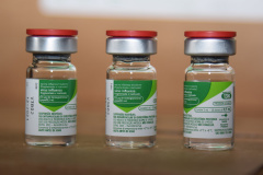 Saúde prepara distribuição de mais de 1,3 milhão de vacinas contra a gripe

Foto: Américo Antonio/Sesa