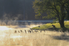 Paraná inicia semana com queda brusca nas temperaturas; 15 municípios tiveram recorde de baixas 
Foto: Valdelino Pontes/AEN