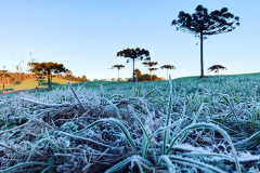 Paraná tem 16 cidades com temperaturas negativas; General Carneiro registrou -7,8ºC  Foto: Ana Tigrinho /AEN