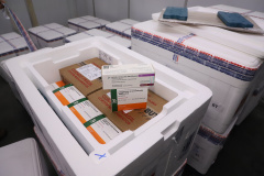 Estado começa a distribuir 85 mil vacinas contra a Covid-19 para primeira dose
Foto: Ari Dias/AEN