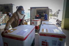  Distribuição de vacinas para Regionais.
Foto Gilson Abreu/AEN