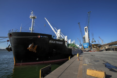 Uma operação diferente chama a atenção no Porto de Paranaguá, nesta semana