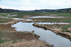 Com falta de chuvas, Sanepar retoma rodízio mais rígido em Curitiba e Região. Foto: José Fernando Ogura/AEN