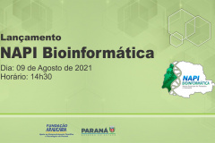 A Fundação Araucária e a Superintendência da Ciência, Tecnologia e Ensino Superior realizam na próxima segunda-feira (09), a partir das 14h30, a cerimônia online de lançamento do NAPI Bioinformática.  - Foto/Arte: Fundação Araucária