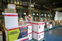 Distribuição de vacinas para o interior do estado.
Foto: Gilson Abreu/AEN