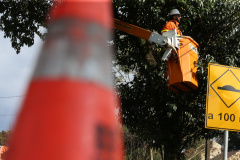A Copel promove neste sábado (14) o mutirão anual de manutenção preventiva nas redes elétricas, com o objetivo de reduzir desligamentos de energia no período mais chuvoso do ano. Esta é  a terceira edição do chamado ?Dia D?Foto: Geraldo Bubniak/AEN