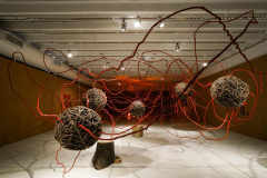 Obra da mostra _Radical_, de Sonia Dias_ Foto de Andre? Nacli