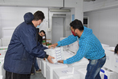 Chegaram no Paraná, na noite deste domingo (22), 107.640 doses do imunizante Cominarty, produzidos pela Pfizer/BioNTech. Esta é a segunda parte do 42° lote de vacinas contra Covid-19 enviado pelo Ministério da Saúde, que contempla 435.290 novas doses para o Estado.  -  Curitiba, 22/08/2021  -  Foto: Américo Antonio/SESA