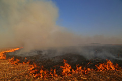  Impacto da seca vai além do abastecimento de água. Foto: Gilson Abreu/AEN